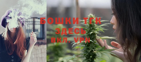 шишки Михайловка
