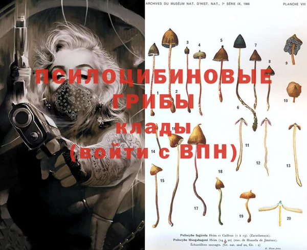 шишки Михайловка